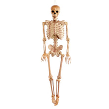 Load image into Gallery viewer, Realistic Skeleton - 1.5m Halloween Prop

