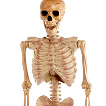 Load image into Gallery viewer, Realistic Skeleton - 1.5m Halloween Prop
