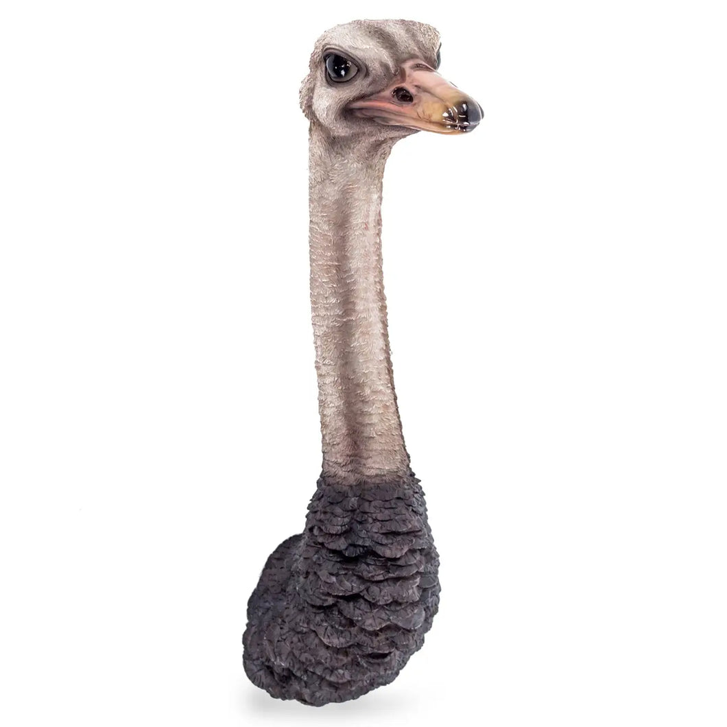 3D Ostrich Head Wall Figure