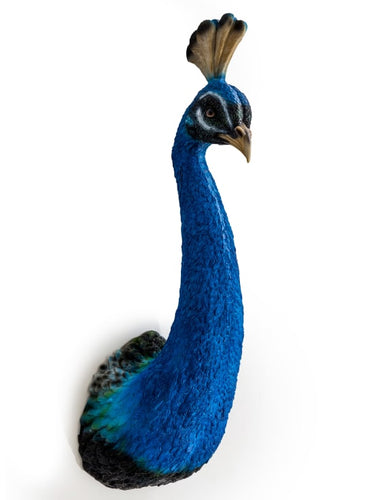 3d Peacock Head Wall Figure