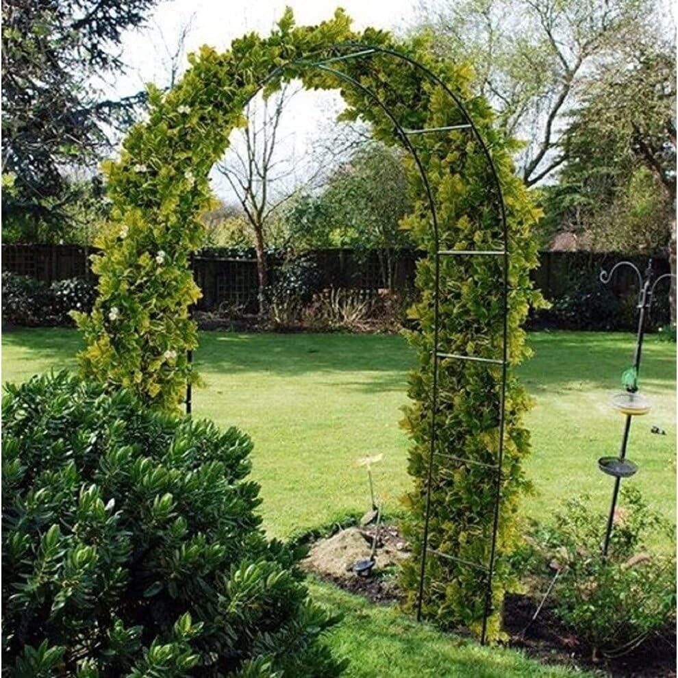 Black Metal Garden Arch For Climbing Plants