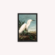 Load image into Gallery viewer, Luxury Velvet Art Print - Vintage Birds - Snowy Heron Framed Wall Art
