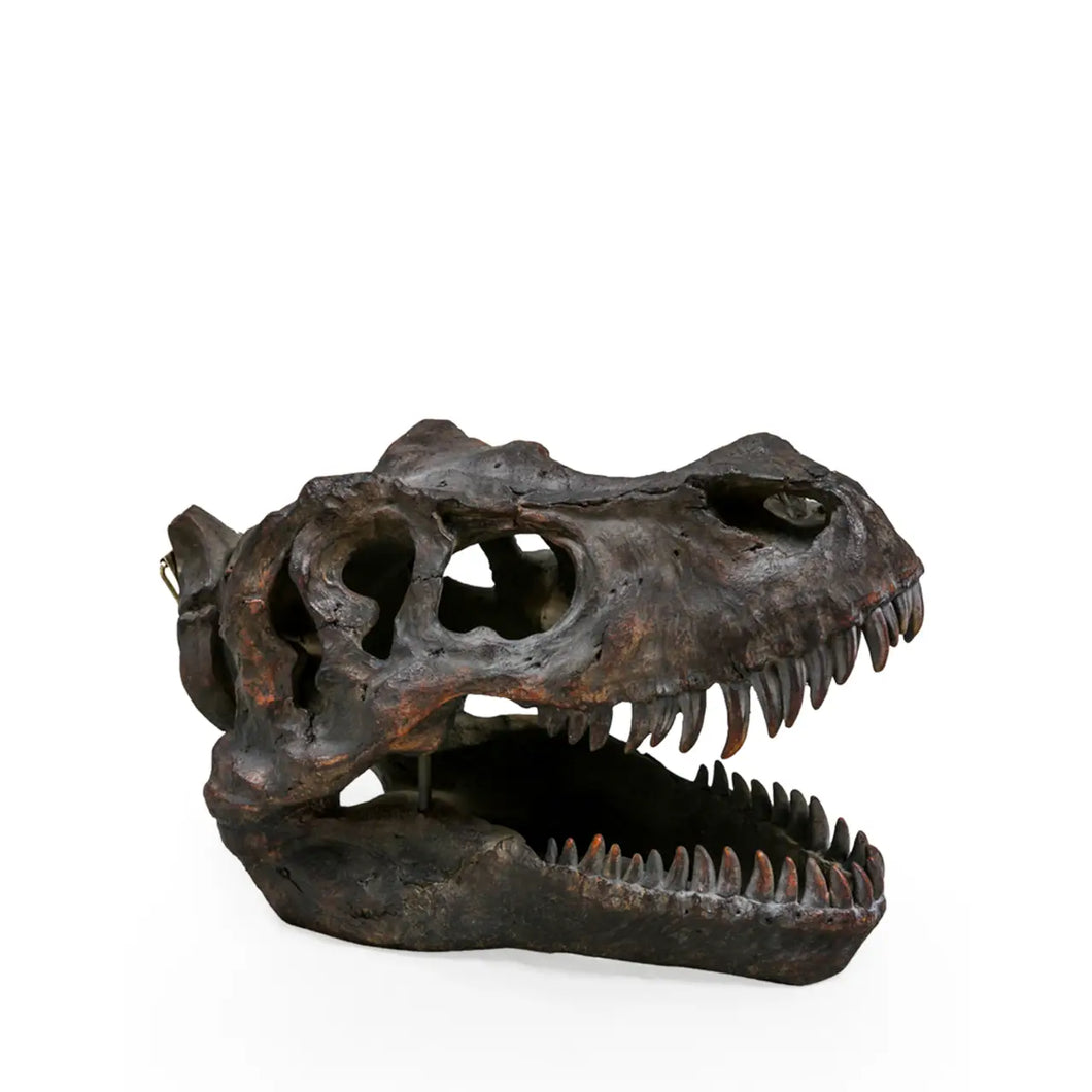 Large T-Rex Skull Wall Head