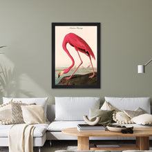 Load image into Gallery viewer, Luxury Velvet Art Print - Vintage Birds - American Flamingo Framed Wall Art

