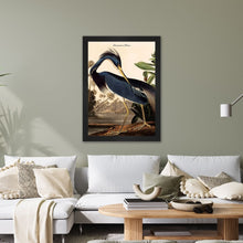 Load image into Gallery viewer, Luxury Velvet Art Print - Vintage Birds - Louisiana Heron Framed Wall Art
