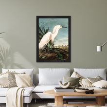 Load image into Gallery viewer, Luxury Velvet Art Print - Vintage Birds - Snowy Heron Framed Wall Art
