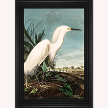 Load image into Gallery viewer, Luxury Velvet Art Print - Vintage Birds - Snowy Heron Framed Wall Art
