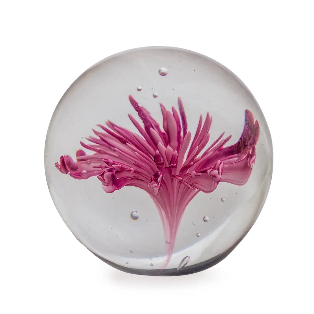 Purple & White Flower Glass Ball Paperweight with Box