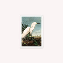 Load image into Gallery viewer, Luxury Velvet Art Print - Vintage Birds - Snowy Heron Framed Wall Art
