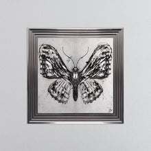 Load image into Gallery viewer, Abstract White Butterfly Framed Wall Art 75*75cm
