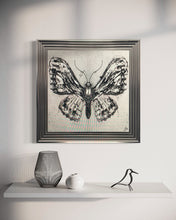 Load image into Gallery viewer, Abstract White Butterfly Framed Wall Art 75*75cm
