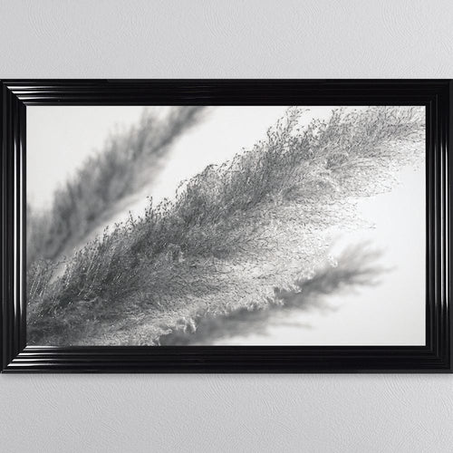 Black And White Pampas Framed Wall Art