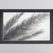 Load image into Gallery viewer, Black And White Pampas Framed Wall Art
