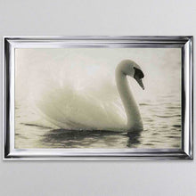 Load image into Gallery viewer, Swan Lake Framed Wall Art
