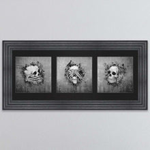 Load image into Gallery viewer, Three Wise Skulls Triptych Framed Wall Art
