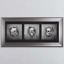 Load image into Gallery viewer, Three Wise Skulls Triptych Framed Wall Art
