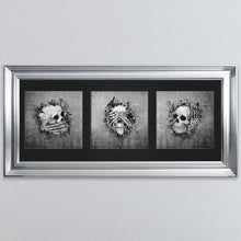 Load image into Gallery viewer, Three Wise Skulls Triptych Framed Wall Art
