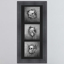 Load image into Gallery viewer, Three Wise Skulls Triptych Framed Wall Art
