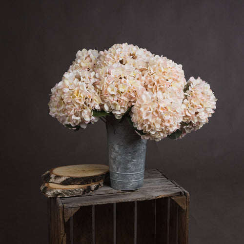 Autumn White Hydrangea Single Stem