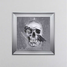 Load image into Gallery viewer, Skull With Feather And A Crow Grey Framed Wall Art
