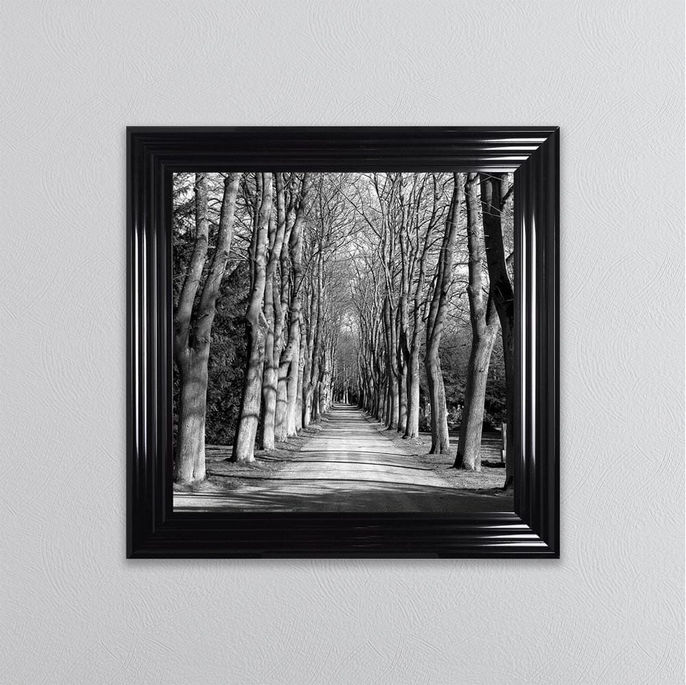 Monochrome Path Framed Wall Art