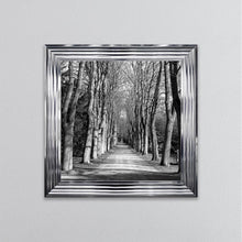 Load image into Gallery viewer, Monochrome Path Framed Wall Art
