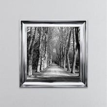 Load image into Gallery viewer, Monochrome Path Framed Wall Art
