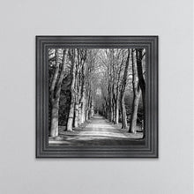 Load image into Gallery viewer, Monochrome Path Framed Wall Art
