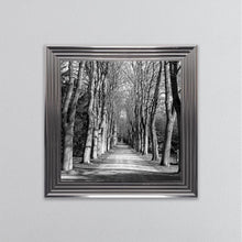 Load image into Gallery viewer, Monochrome Path Framed Wall Art
