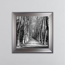 Load image into Gallery viewer, Monochrome Path Framed Wall Art
