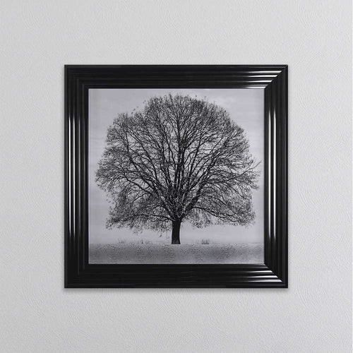 Winter Tree Framed Wall Art