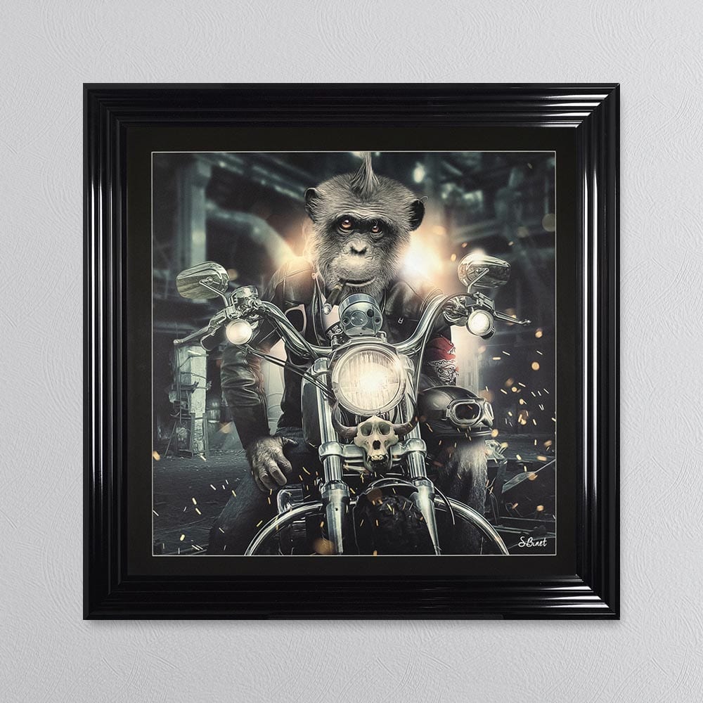 Motorbike Monkey Framed Wall Art 90*90cm