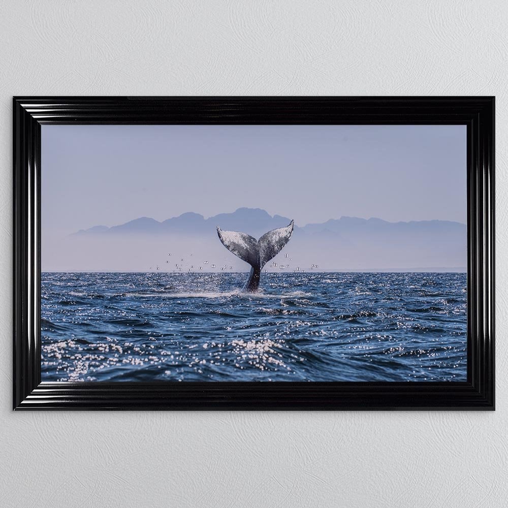 Whale Tail Ocean Framed Wall Art