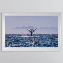 Load image into Gallery viewer, Whale Tail Ocean Framed Wall Art
