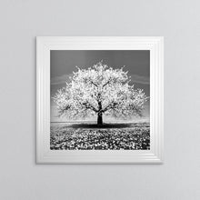 Load image into Gallery viewer, White Cherry Tree Framed Wall Art
